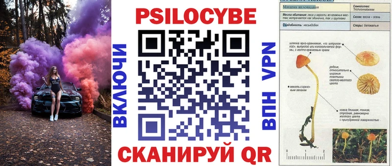 Псилоцибиновые грибы мицелий  Мончегорск 